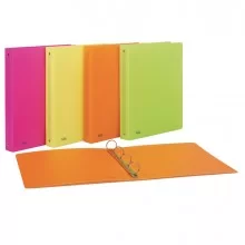 Raccoglitore PPL 22x30mm 4R dorso 30 colori assortiti neon Favorit (Conf.10)