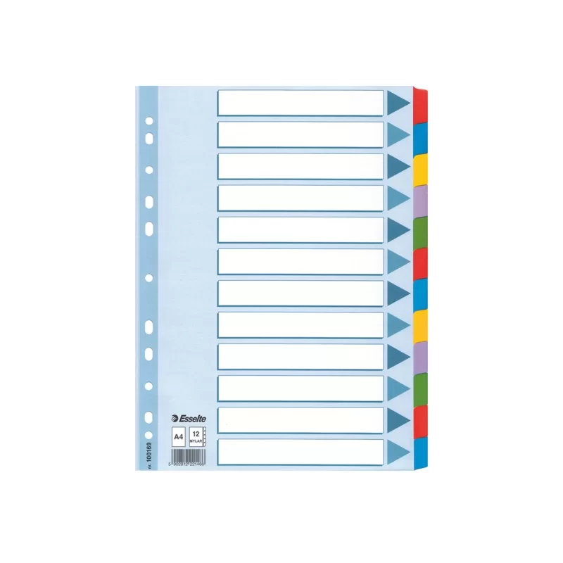 Intercalare MYLAR 12 tasti colorati - f.to A4 ESSELTE
