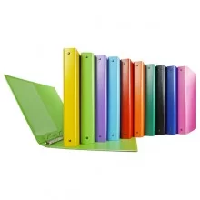 Raccoglitore Nettuno 30 A4 4R colori assortiti Sei Rota (Conf.10)