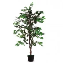 Pianta ornamentale FICUS H120cm FUORI CATALOGO