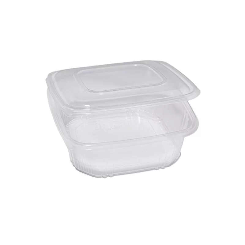 Pack 50 contenitori in PP coperchio incernierato 21,5x21,5cm H6,9 QC3-2000