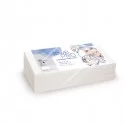 60 Panni Beauty piegati 36x72cm per estetisti e parrucchieri Airtech Lucart