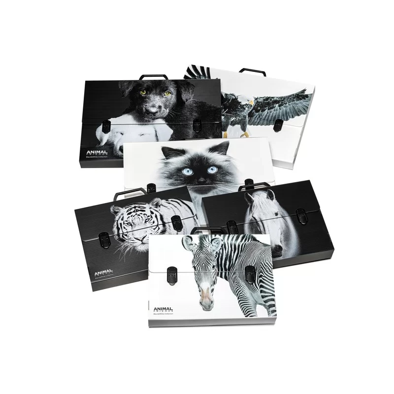 Valigetta polionda Animal Friends 38x53 dorso 5cm fantasie assortite Colorosa