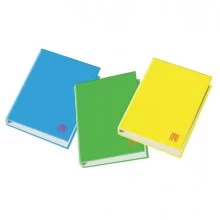 Raccoglitore 4 anelli Ø30mm 26X32cm colori ass. Fluo One Color Blasetti (Conf.6)