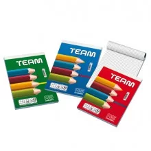 BLOCCO NOTE 150X210MM 5MM 50GR 50FG TEAM BLASETTI (Conf.10)