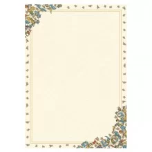 BLISTER 10 DIPLOMI PERGAMENA 297x420mm 160gr KARTOS FUORI CATALOGO