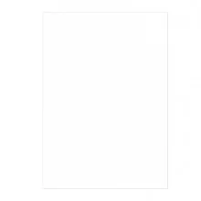 100 Copertine A4 cartoncino groffrato semilpelle 250g bianco Fellowes