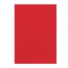 100 Copertine A4 cartoncino groffrato semilpelle 250g rosso Fellowes