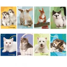 Maxiquaderno A4 20fg+1 80gr 4mm Cucciolissimi 2023 Blasetti (Conf.10) FUORI CATALOGO