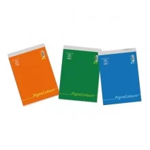 Blocco Colours f.to A5 5mm 60fg 60gr Pigna (Conf.10)