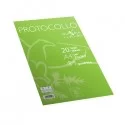 Fogli protocollo A4 4mm 20fg 80gr Pigna