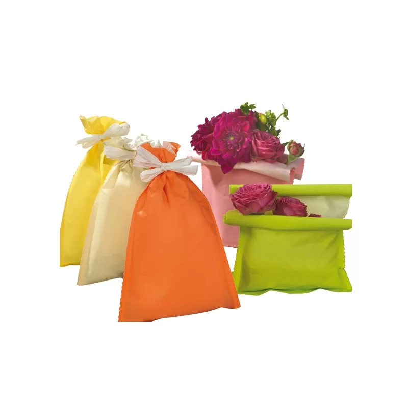 50 buste regalo in carta 45gr. 20x32cm 5 colori assortiti